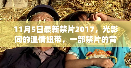 涉黄禁片背后的温情纽带与故事揭秘，揭秘禁片背后的故事（2017年最新）