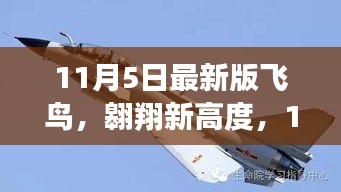 11月5日最新版飞鸟，翱翔新高度，共赴励志之旅