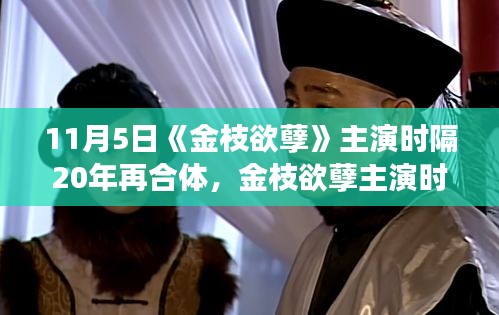 金枝欲孽主演时隔二十年重逢，重温经典之旅，详细步骤指南与深度解读