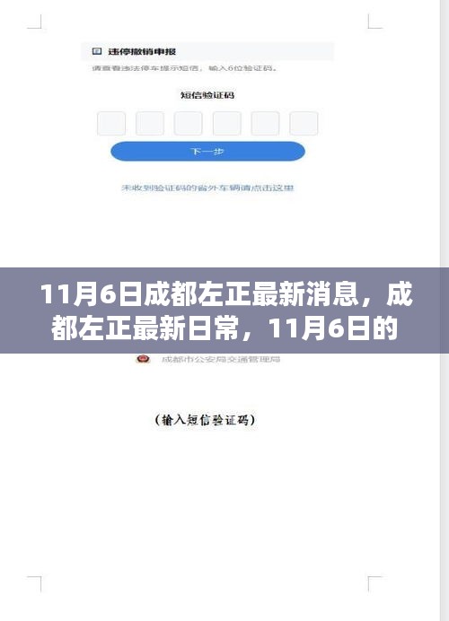 成都左正最新动态，11月6日的日常与温馨奇遇