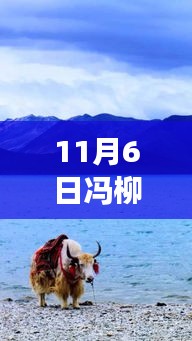 冯柳最新投资之旅，与自然美景的邂逅，探寻内心平和与宁静之道