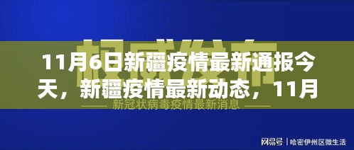 新疆疫情最新动态，11月6日通报与回顾