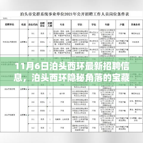 泊头西环招聘信息揭秘与独特环境之旅，隐秘小店的探索之旅