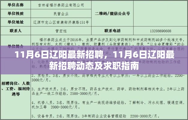 辽阳最新招聘动态及求职指南（11月6日更新）