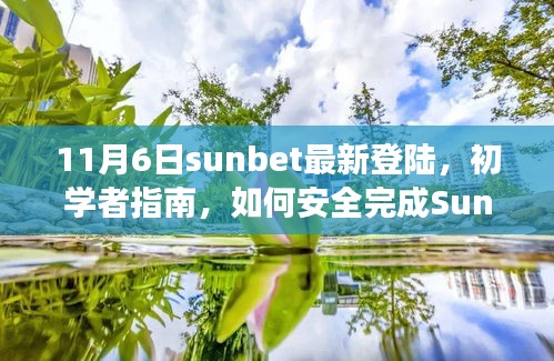 Sunbet最新登陆指南（11月6日版），初学者如何安全避免风险进行Sunbet登录 - 犯罪与法律风险解析