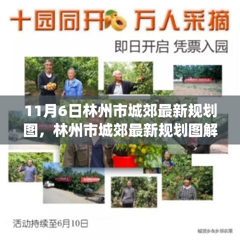 林州市城郊最新规划图解析，多维视角探讨意义与影响及影响分析