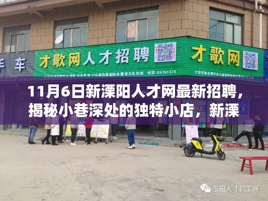 揭秘小巷深处的独特小店，新溧阳人才网招聘日下的惊喜发现与最新招聘信息