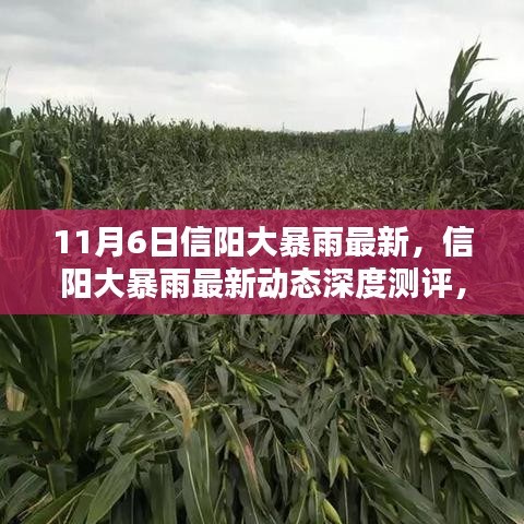 信阳大暴雨最新动态深度解析，特性、体验、竞品对比及用户群体分析