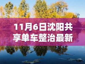 沈阳共享单车整治最新动态及各方观点探析，11月6日最新进展