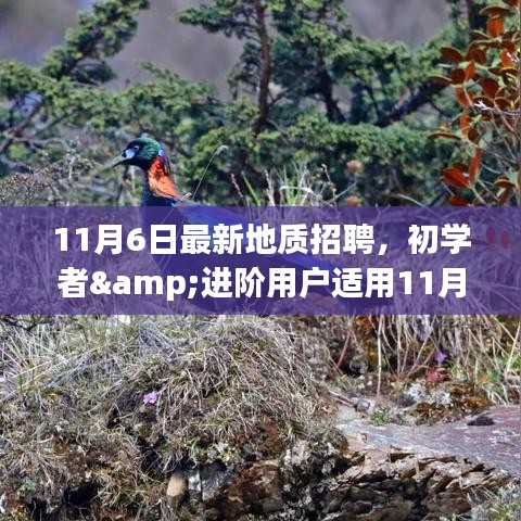 地质招聘全攻略，初学者与进阶用户适用的最新职位及应聘指南（11月6日更新）