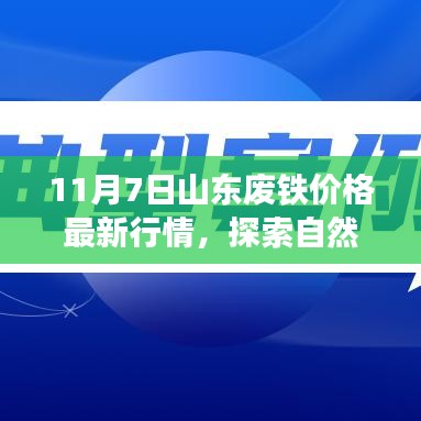 山东废铁价格最新行情探索与心灵之旅，带你了解背后的故事与寻找宁静平和的旅程