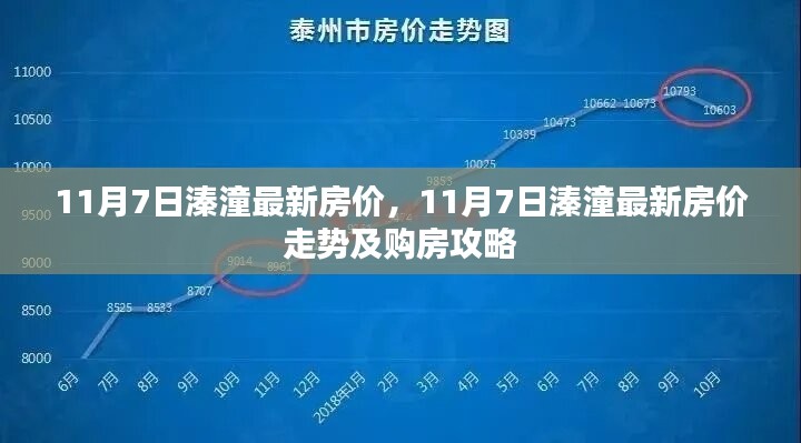 11月7日溱潼房价最新动态及购房指南