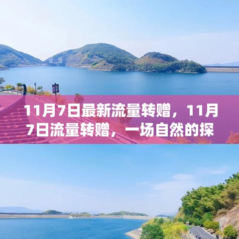 11月7日流量转赠，开启自然探索之旅，拥抱内心宁静