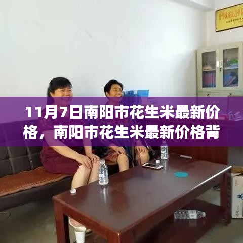 南阳市花生米最新价格揭秘，秋日收获之旅的温馨故事