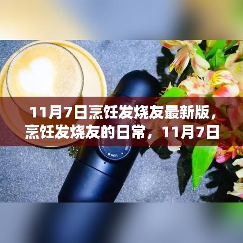 烹饪发烧友最新版，温馨厨房之旅，日常烹饪之旅启程于11月7日