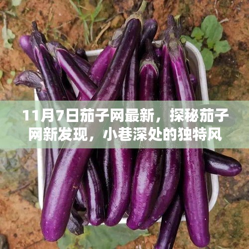 茄子网新发现揭秘，小巷深处的独特风味——茄子巷秘味馆探秘纪实