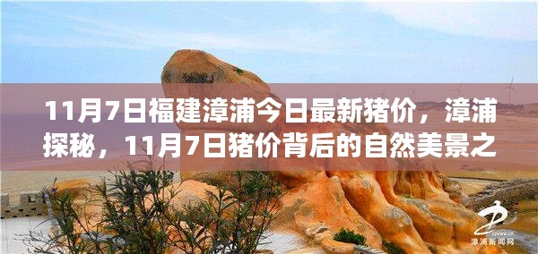 漳浦探秘，揭秘今日最新猪价背后的自然美景之旅（11月7日）