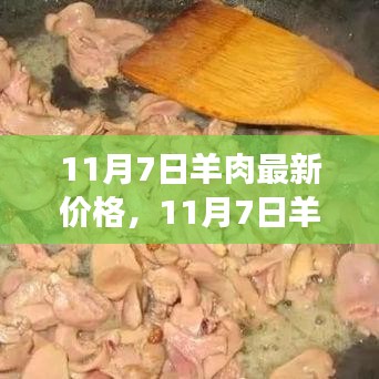 11月7日羊肉最新价格及市场走势分析与购买指南