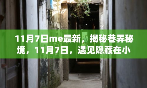 揭秘巷弄秘境，遇见小巷中的独特小店，最新报道在11月7日