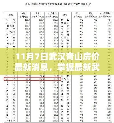 武汉青山房价最新动态，11月7日更新指南