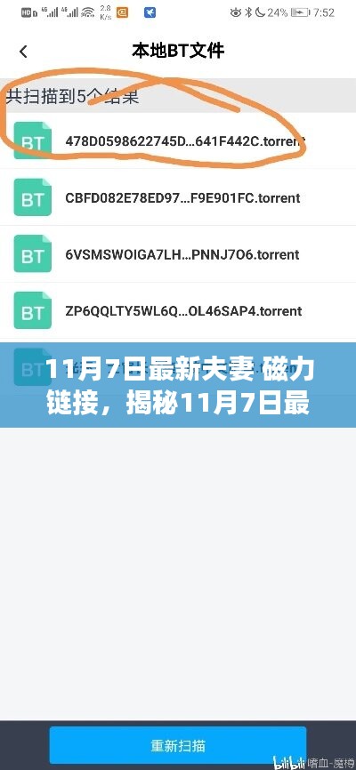 揭秘数字时代情感纽带，最新夫妻磁力链接探寻之旅（11月7日更新）