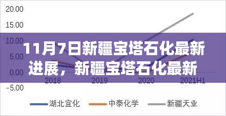 新疆宝塔石化最新进展深度解析，产品特性、用户体验与目标用户分析