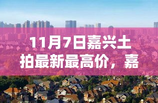 11月7日嘉兴土拍最新最高价全攻略，步骤详解与价格揭秘