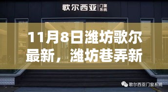 潍坊歌尔最新探秘，巷弄风情与独特风味的小店等你来发掘