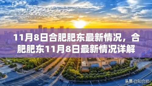 合肥肥东11月8日最新情况详解，任务完成与技能学习步骤指南