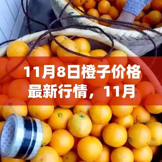 11月8日橙子价格行情更新，市场走势分析与预测