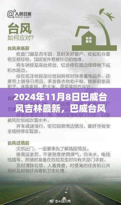 巴威台风来袭吉林，最新动态与应对指南（2024年11月8日更新版）