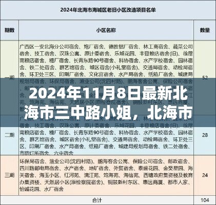 北海市三中路小姐，特性、体验、竞品对比及用户群体深度分析（2024年最新版）