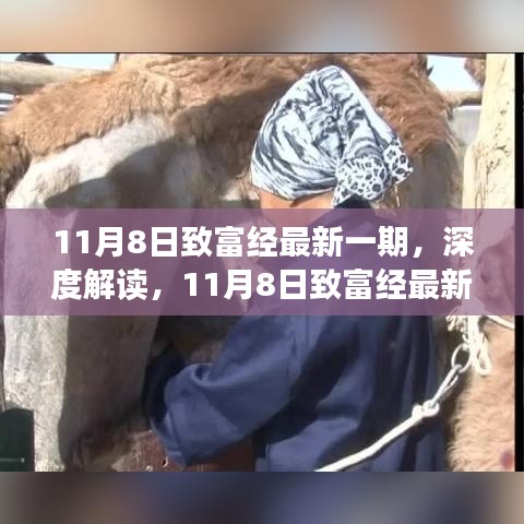 揭秘致富经最新一期背后的故事与影响，深度解读