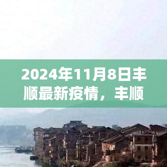 丰顺地区最新疫情动态分析报告（2024年11月8日版），聚焦要点深度解析