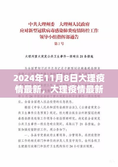 大理疫情最新动态与应对指南，初学者与进阶用户必备（2024年11月8日更新）