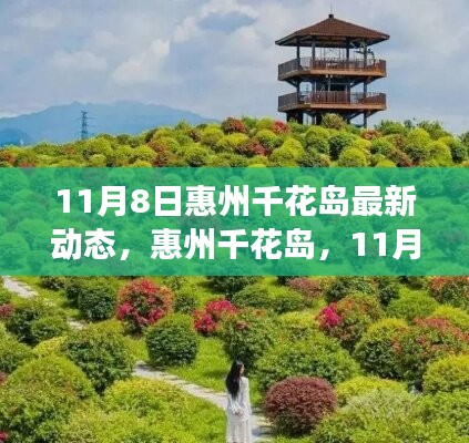 惠州千花岛11月8日最新动态回顾与展望，展望未来发展，洞悉千花岛新动向