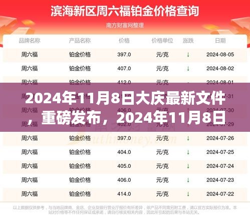 大庆最新文件详解，洞悉未来发展趋势（2024年11月8日）