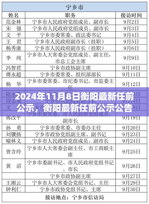 衡阳最新任前公示公告解读，重点解读2024年11月8日更新