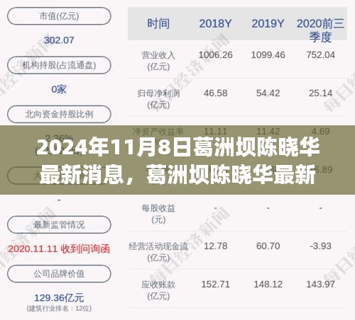 葛洲坝陈晓华最新动态及聚焦三大要点，2024年11月8日更新消息揭秘