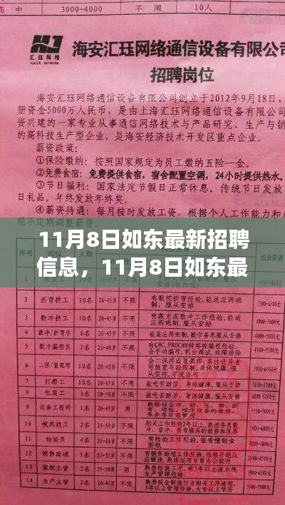 11月8日如东最新招聘信息，职场机遇与挑战一览