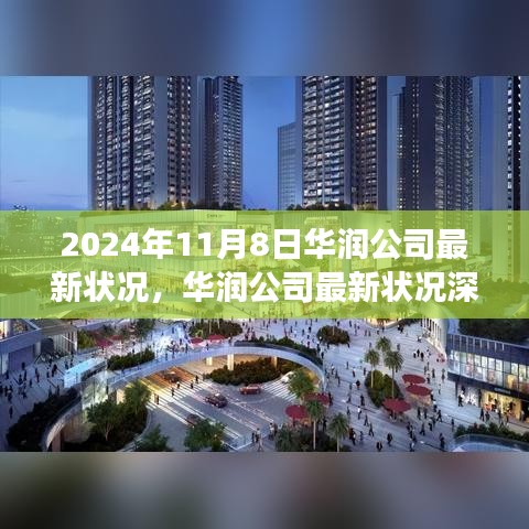 2024年观察，华润公司最新状况深度评测与介绍