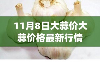 大蒜市场观察，最新行情下的市场走势与个人观点分析（11月8日）