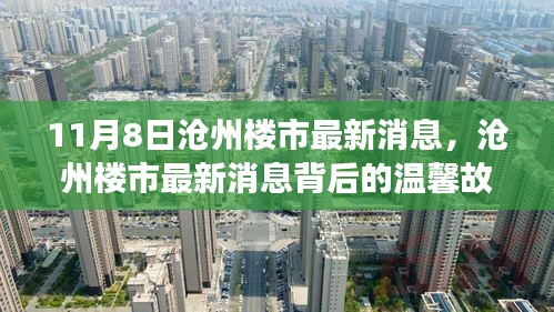 沧州楼市最新动态背后的温馨故事，友情与家的奇妙旅程（11月8日更新）