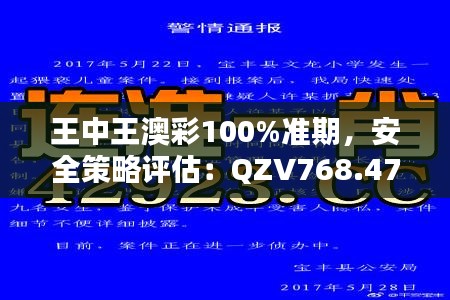 王中王澳彩100%准期，安全策略评估：QZV768.47活跃版