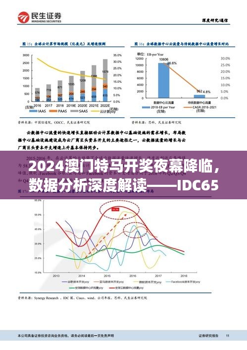 2024澳门特马开奖夜幕降临，数据分析深度解读——IDC652.66升级版