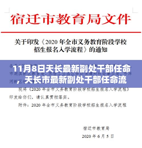 天长市最新副处干部任命详解，从选拔到上任的全程揭秘