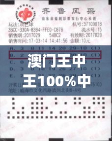 澳门王中王100%中奖，独家策略揭秘_广播版RXK745.91