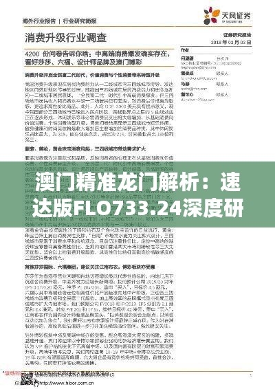 澳门精准龙门解析：速达版FLO733.24深度研究