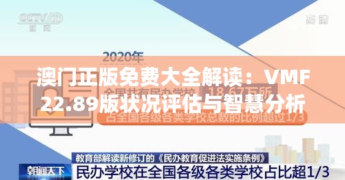 澳门正版免费大全解读：VMF22.89版状况评估与智慧分析