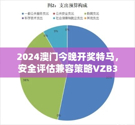 2024澳门今晚开奖特马，安全评估兼容策略VZB381.47版